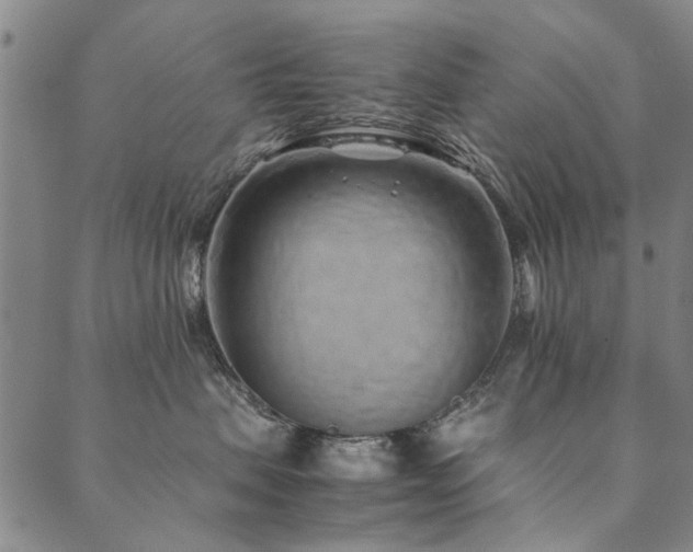 X0000090450479200707131233