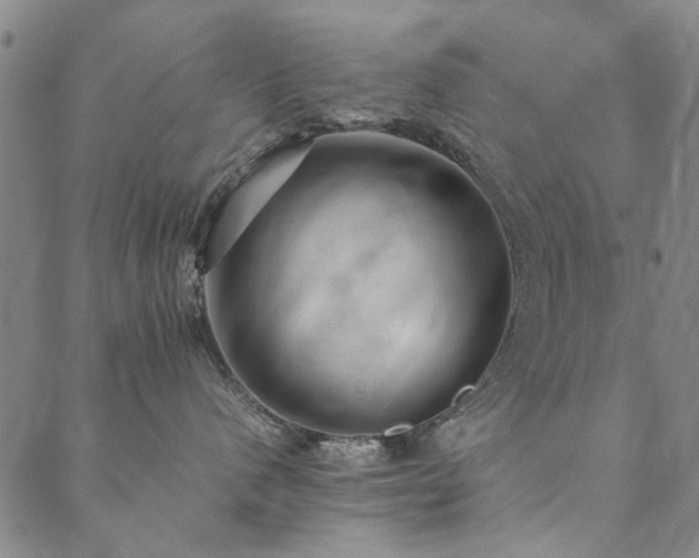 X0000090450480200707131233