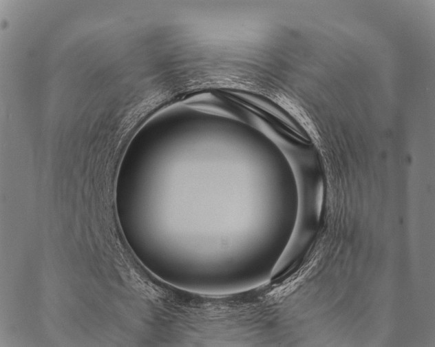 X0000090450481200707131232