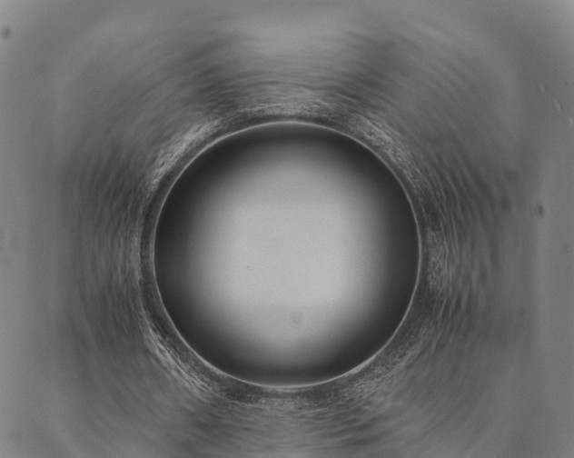 X0000090450482200707131232