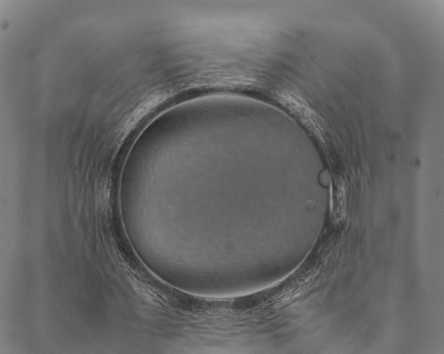 X0000090450483200707131232