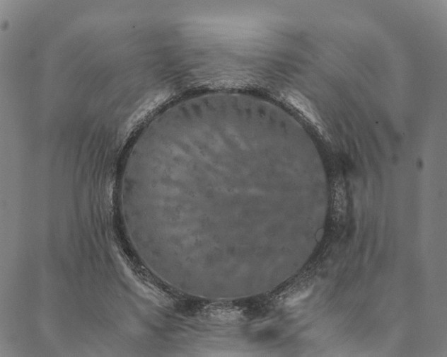 X0000090450491200707131232