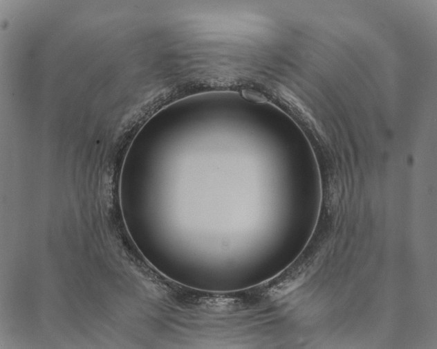 X0000090450497200707131232