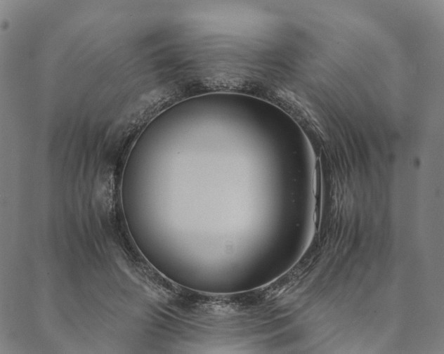 X0000090450498200707131232