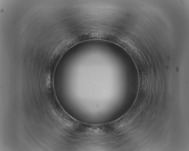 X0000090450502200707131232