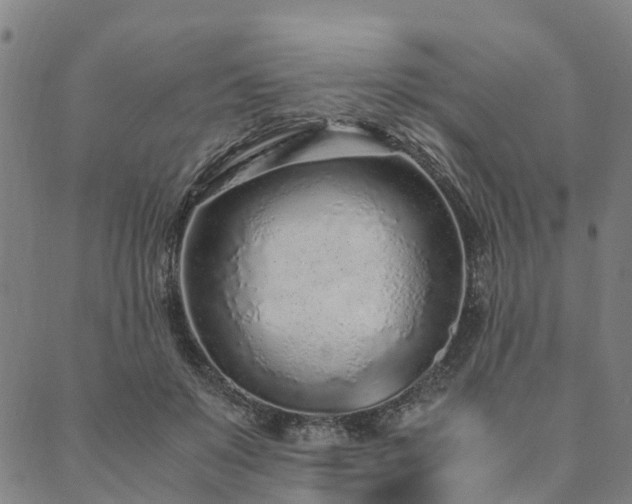X0000090450503200707131232
