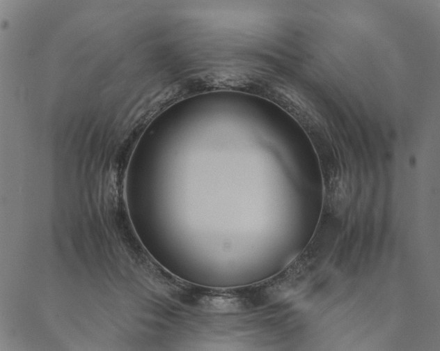 X0000090450506200707131232