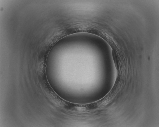 X0000090450509200707131231