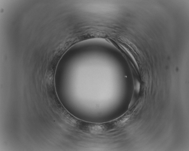 X0000090450513200707131231