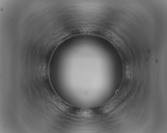 X0000090450514200707131231