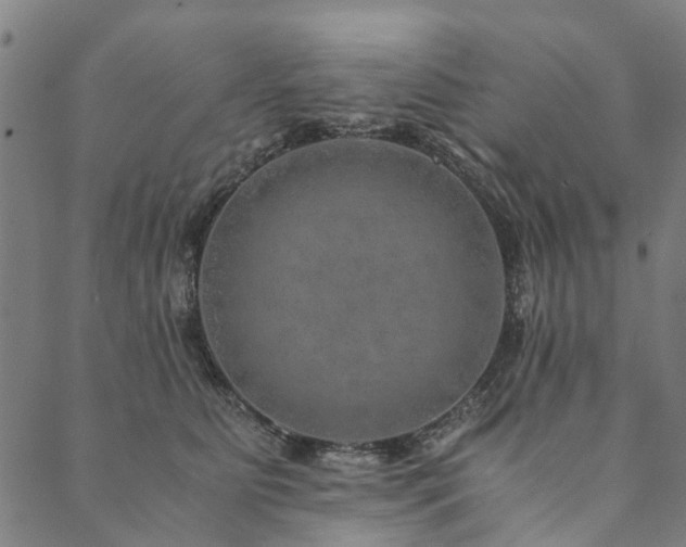 X0000090450515200707131231