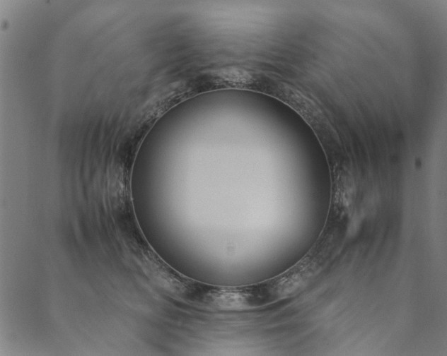 X0000090450518200707131231
