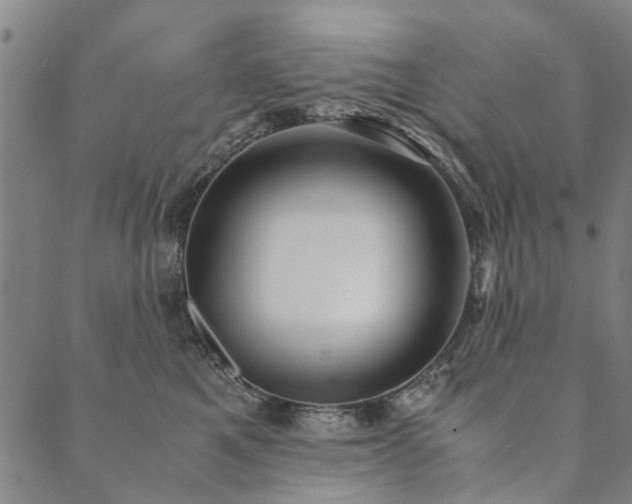 X0000090450521200707131231