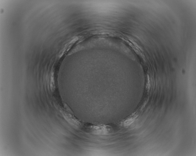 X0000090450524200707131231