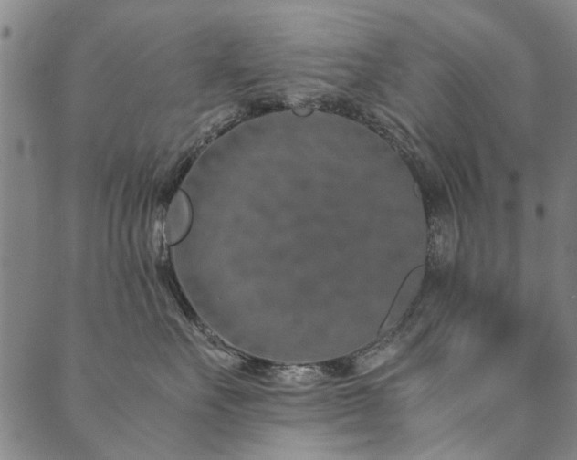 X0000090450527200707131231