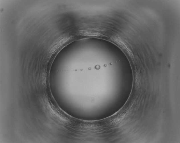 X0000090450533200707131230