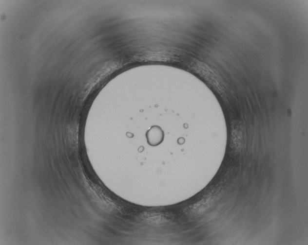 X0000090450534200707131230