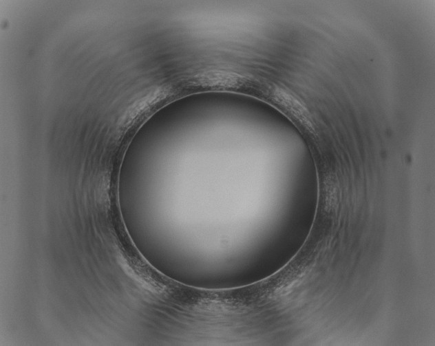 X0000090450538200707131231