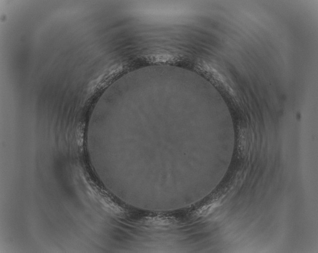 X0000090450545200707131231