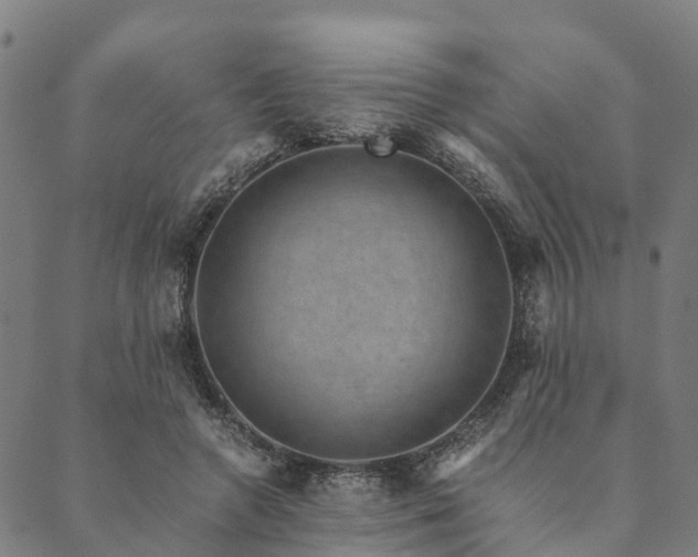 X0000090450546200707131231