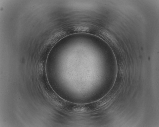 X0000090450551200707131231