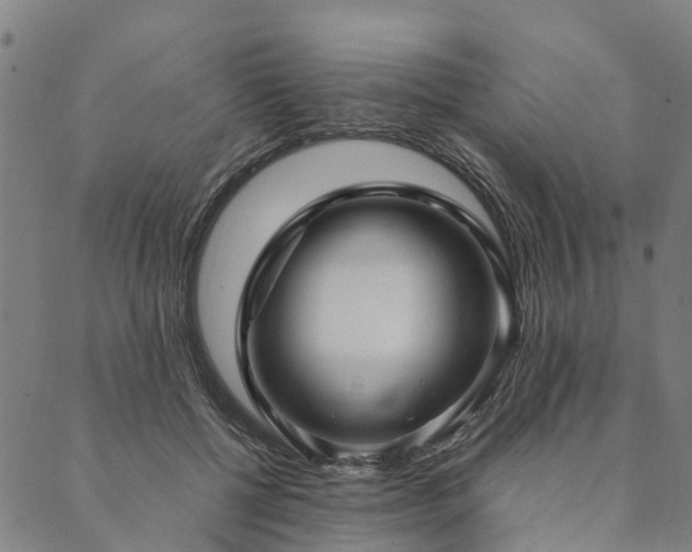 X0000090450552200707131231