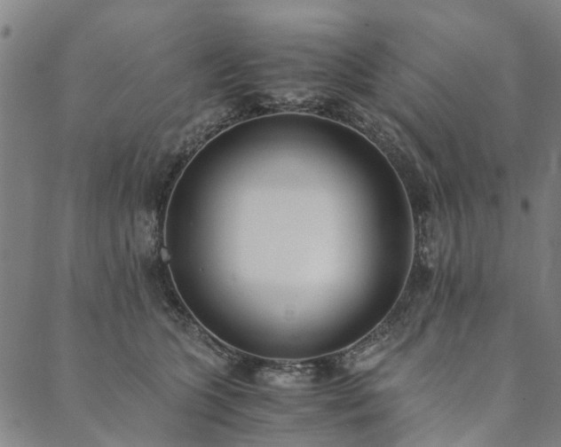 X0000090450563200707131231