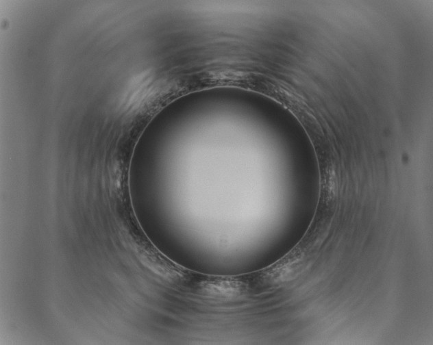X0000090450567200707131231
