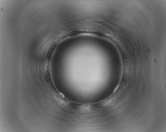 X0000090450574200707131231