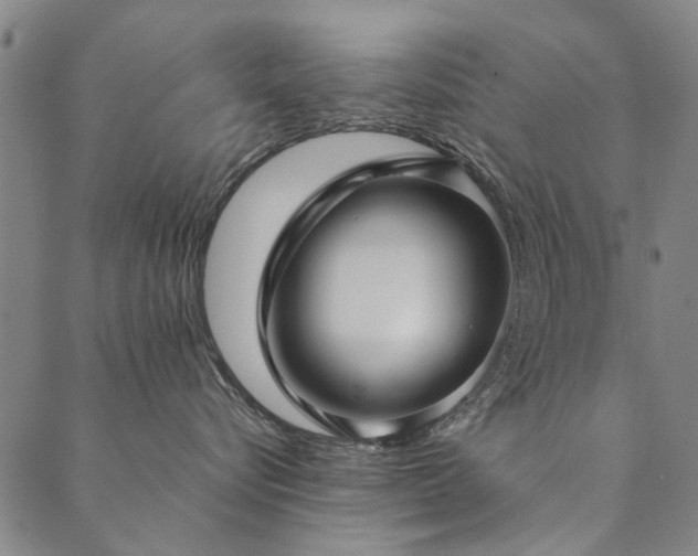 X0000090450576200707131231