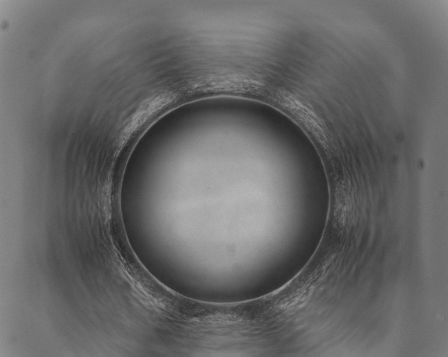 X0000090450578200707131230