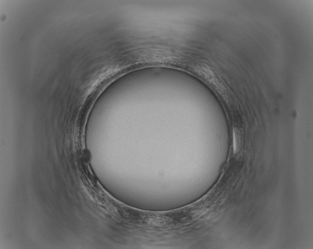 X0000090450579200707131230