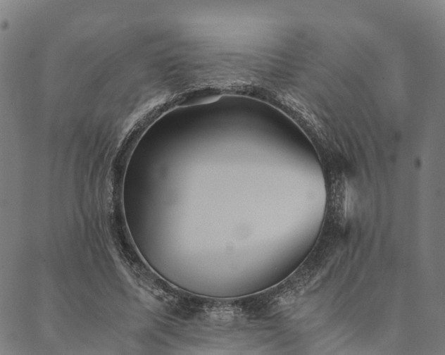 X0000090450587200707131230