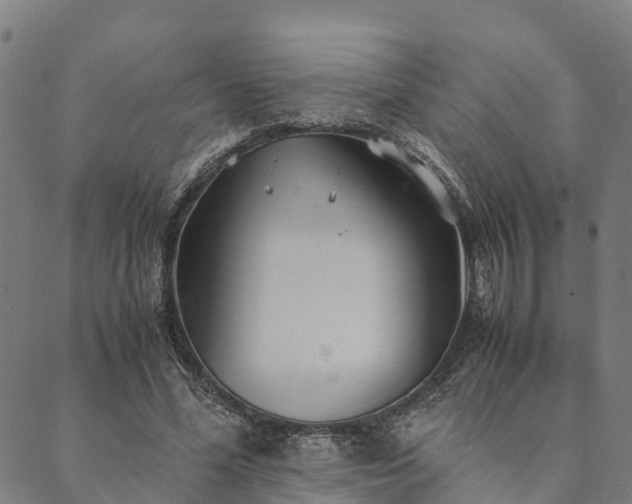X0000090450588200707131230