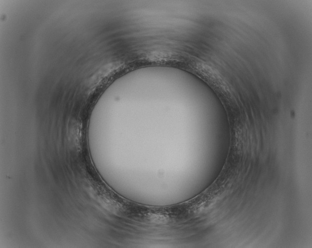 X0000090450592200707131230