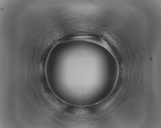 X0000090450597200707131230