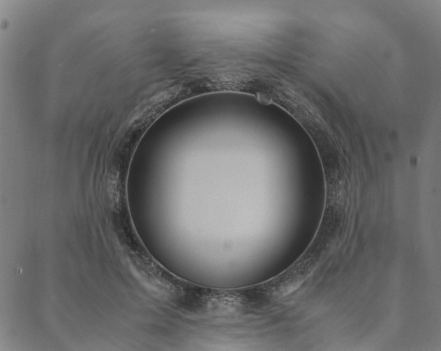 X0000090450599200707131230