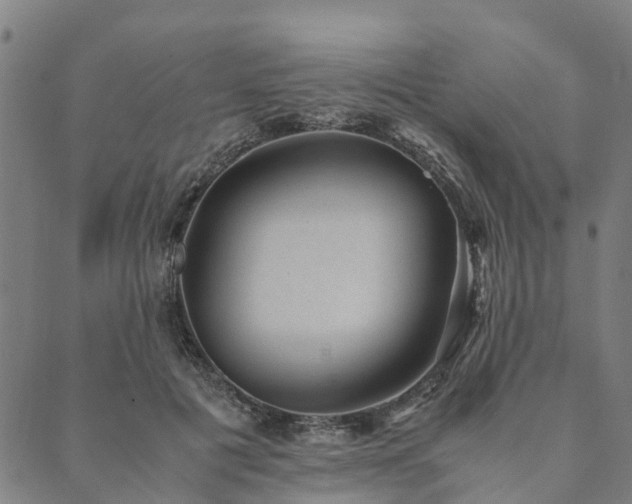 X0000090450601200707131230