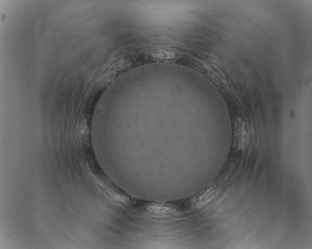 X0000090450614200707131230
