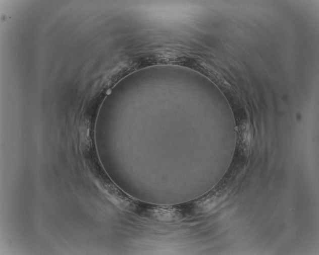 X0000090450615200707131230