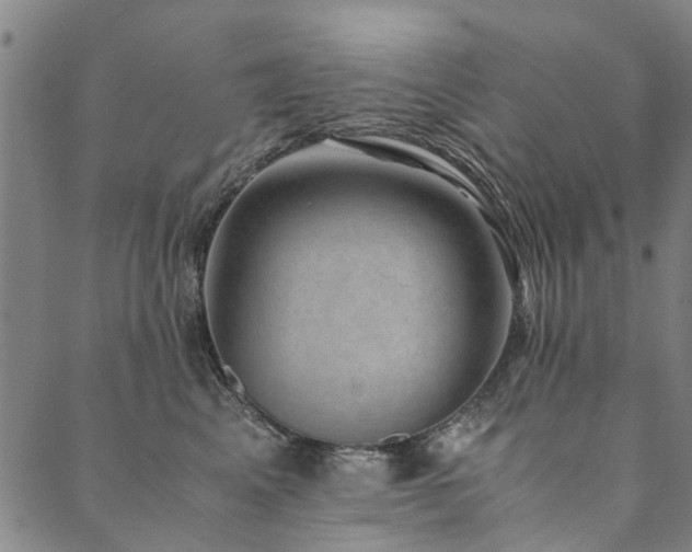 X0000090450617200707131230