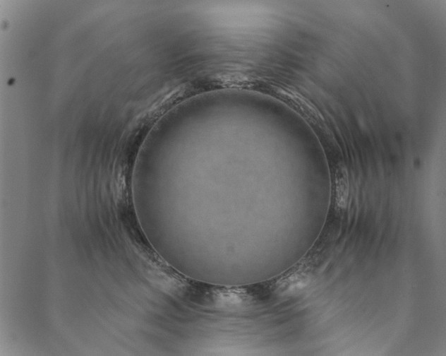 X0000090450618200707131230