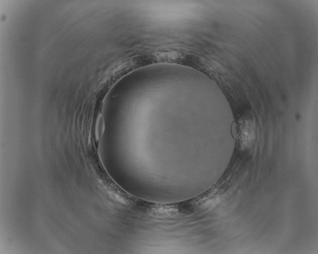 X0000090450619200707131230