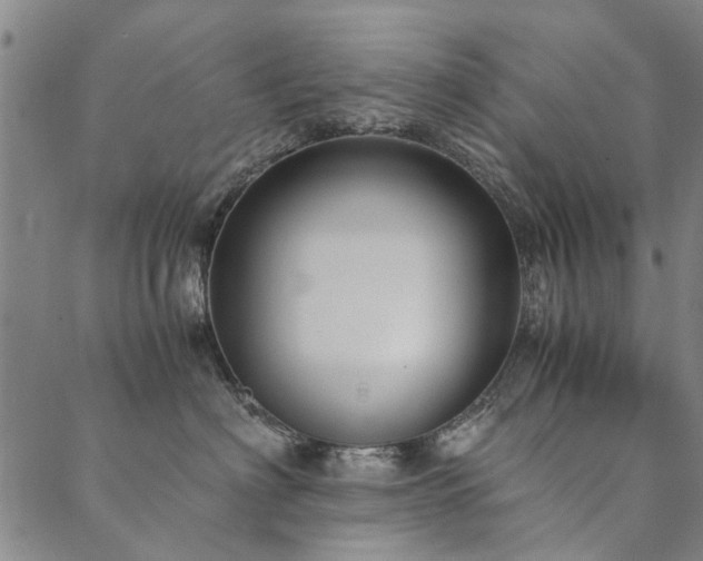 X0000090450622200707131230