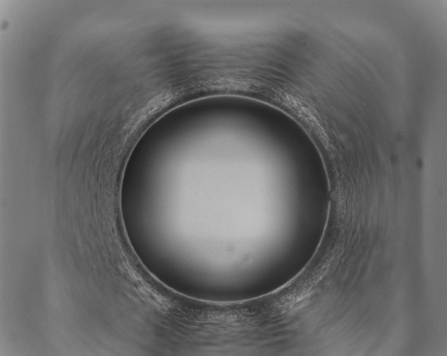 X0000090450625200707131229