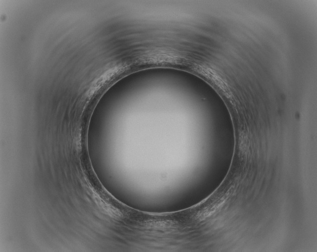 X0000090450629200707131229