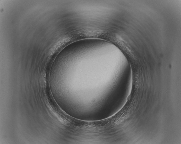 X0000090450634200707131229