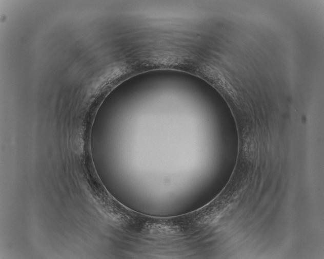 X0000090450635200707131229