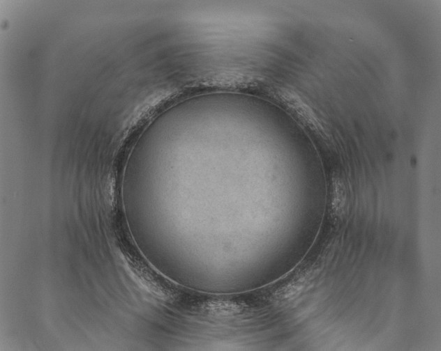X0000090450636200707131229