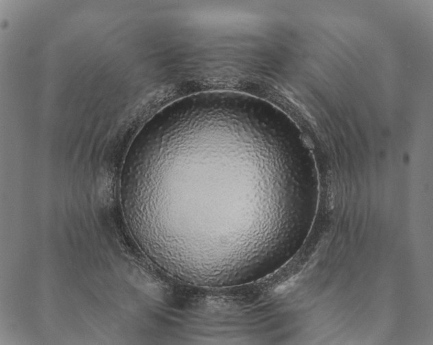 X0000090450641200707131229